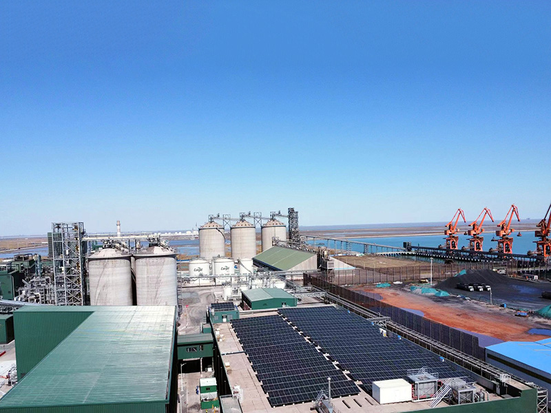 滄州嘉好糧油709KW分布式光伏發電項目